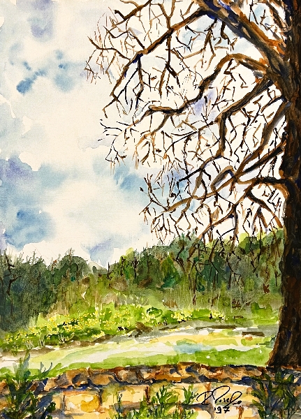 Landscape near Dingli